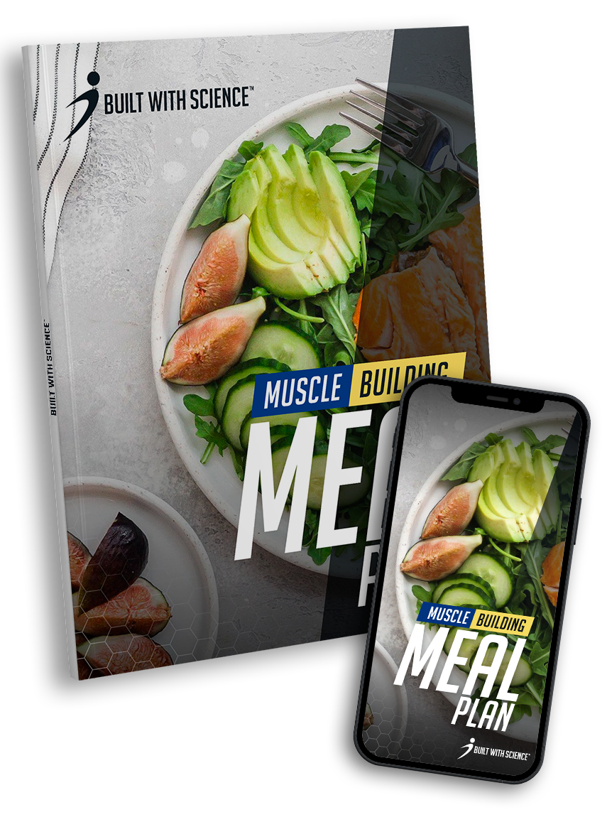 Download Muscle Building Meal Plan Pdf